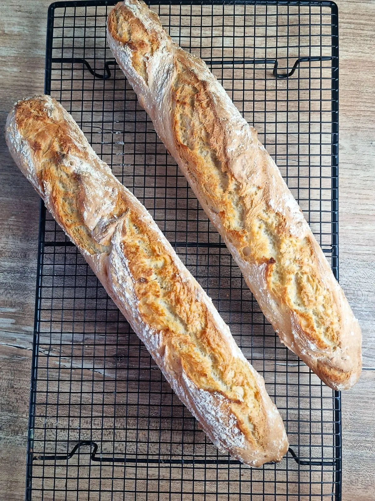 Baguette Tradition